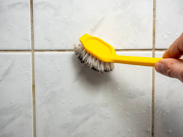 Best Black Mold Removal  in Mullins, SC
