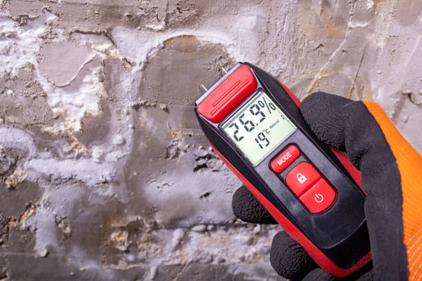 Best Certified Mold Removal  in Mullins, SC